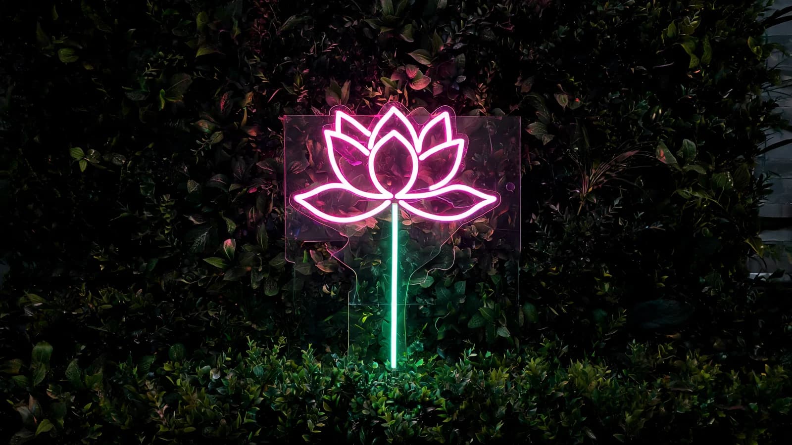 Neon-style Décor Sign (Generic)