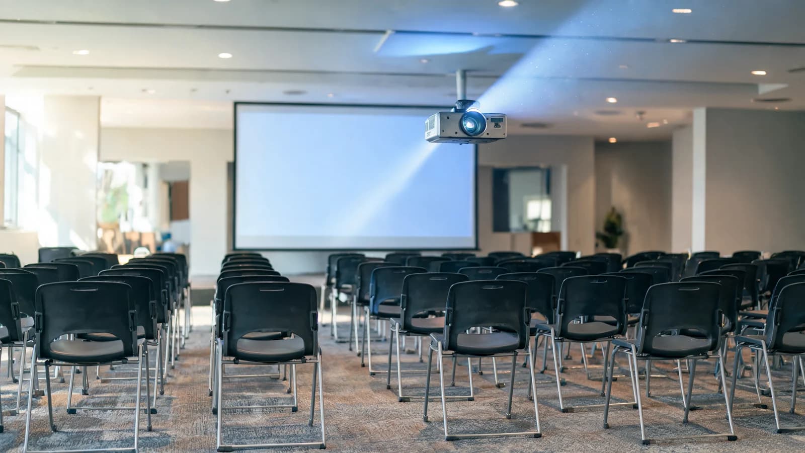Projector & Screen